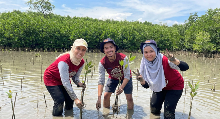 CSR_MANGROVE_1