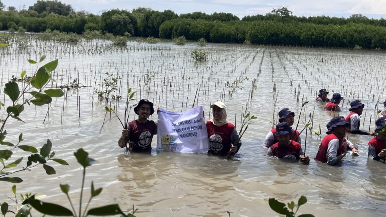 CSR_MANGROVE_4